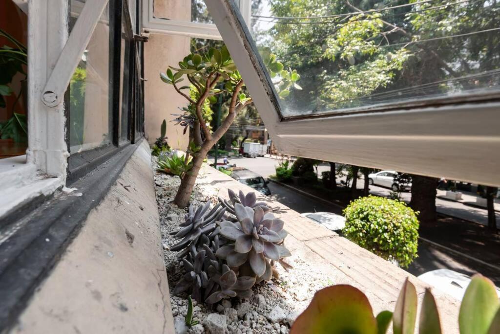 Abstract - 4br Fantastic Heart Of Condesa * Mexico City